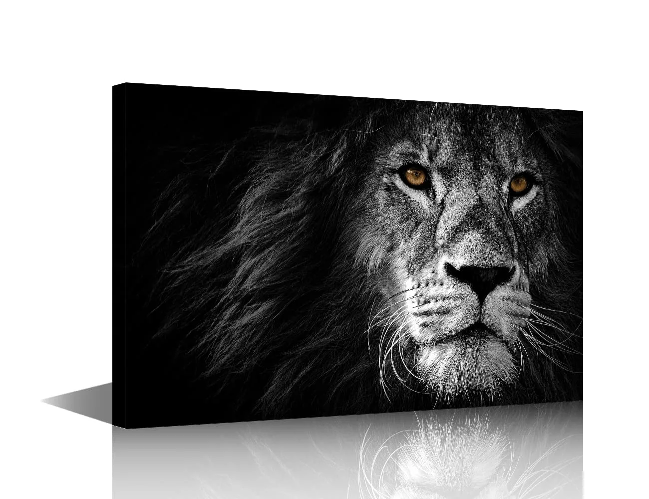 Obraz na plátne lev 40×60 cm s rámom čiernobiely